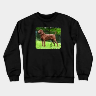 REDBONE COONHOUND DOG Crewneck Sweatshirt